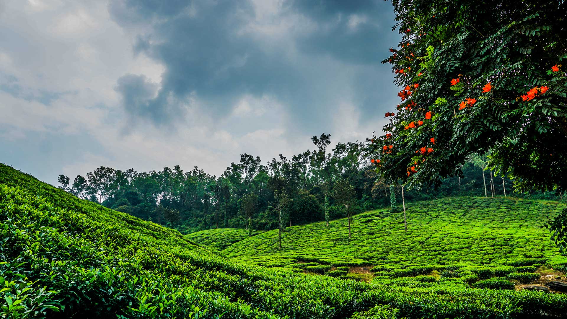 Location Chikkamagaluru Invest Karnataka